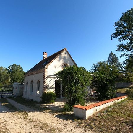 Chateau Des Nouies Villa Selles-sur-Cher Exterior photo