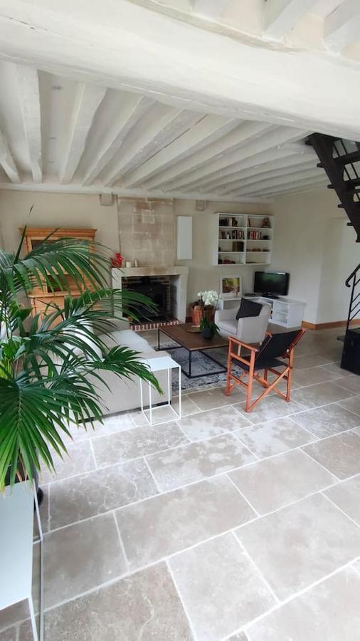 Chateau Des Nouies Villa Selles-sur-Cher Exterior photo