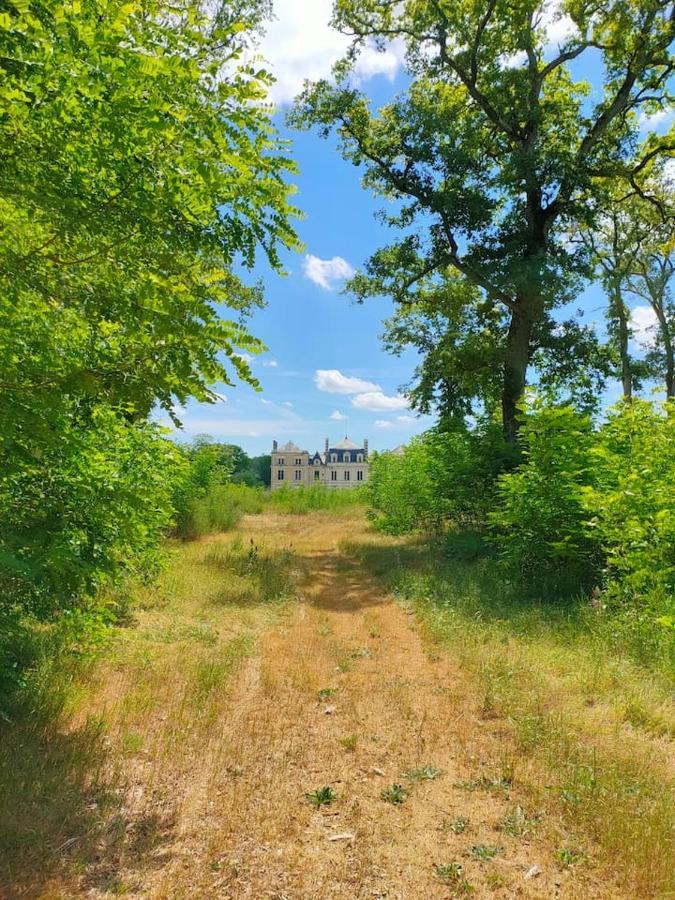 Chateau Des Nouies Villa Selles-sur-Cher Exterior photo
