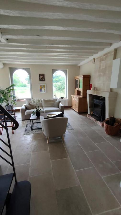 Chateau Des Nouies Villa Selles-sur-Cher Exterior photo