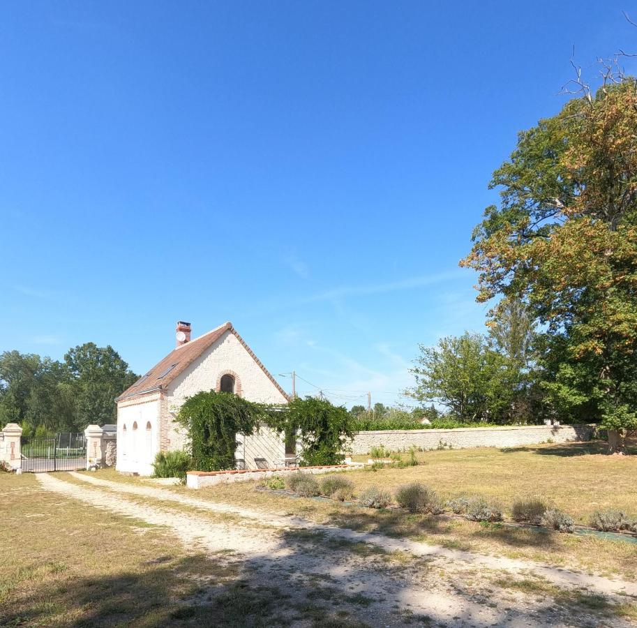 Chateau Des Nouies Villa Selles-sur-Cher Exterior photo