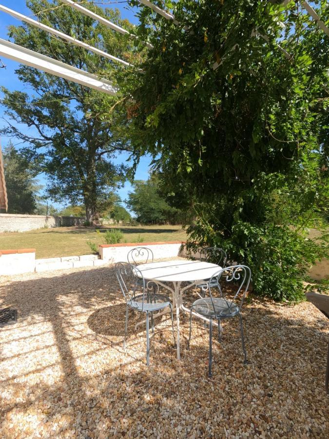Chateau Des Nouies Villa Selles-sur-Cher Exterior photo
